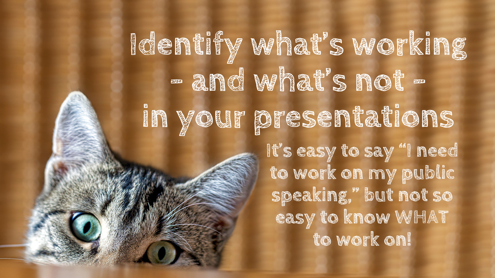 self-assessment-cat Identify what's working - and what's not - in your presentations